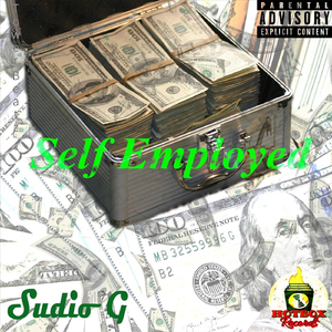 Self Employed