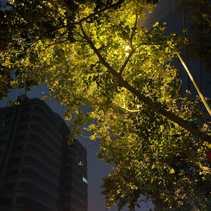 稳稳的幸福