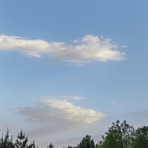 初见心动