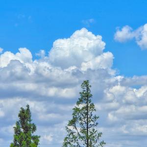 記憶（缘之空）