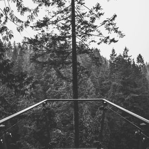 温和安静的星期日梦想