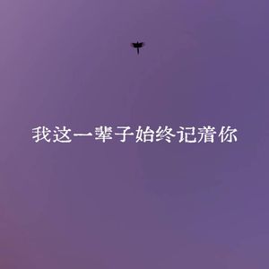 这一辈子我始终记着你