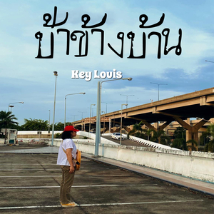ป้าข้างบ้าน
