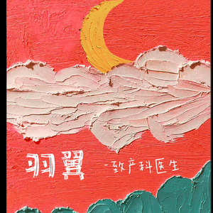 羽翼-致产科医生