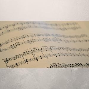 Whatever They Tell You