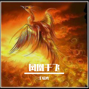 凤凰于飞