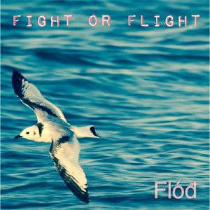 Fight of Flight