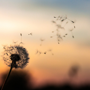 Noise Room - Loopable with No Fade