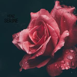 Ser3ne