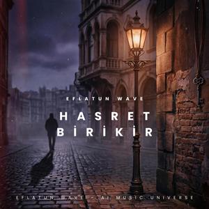 Hasret Birikir