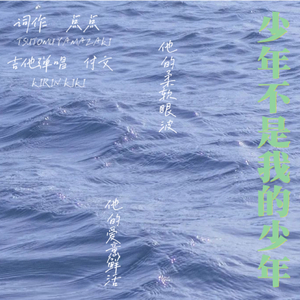少年不是我的少年