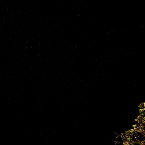 0400 the Stargazer （凌晨四点的观星者）