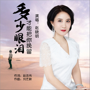 多少眼泪才能把你挽留 (伴奏)