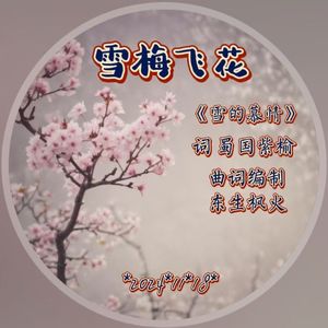 雪梅飞花