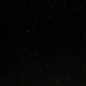 在百德新街的爱侣