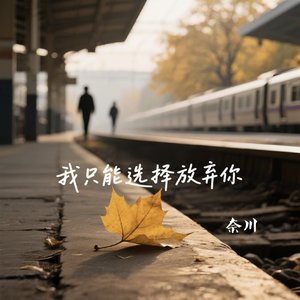 在你最爱我的时候，我却选择放开了手