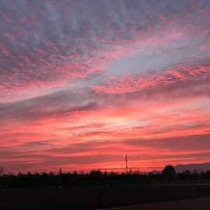 这城市的风总是很大