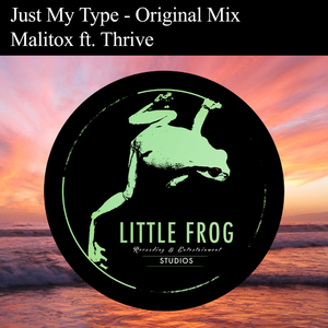 Just My Type (Original Mix)