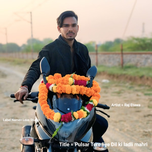 Pulsar Tere Liye Dil Ki Ladli Mahri