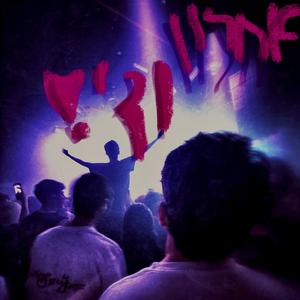 יש ברווזים בשמיים