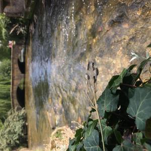 Bourton-On-The-Water