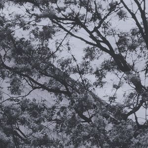 我不是龙胆紫 也没有purple soul Prod.SSR Studio