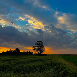 Jj Gaya Lama Mengkane