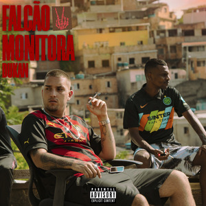 Falcão Monitora