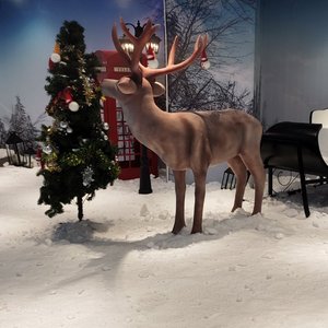 为了你耗尽所有1