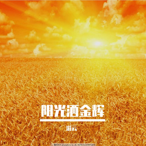 绿叶对根的情意