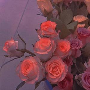 专属于你的表白信 ♡ (Prod.By K-MAX)