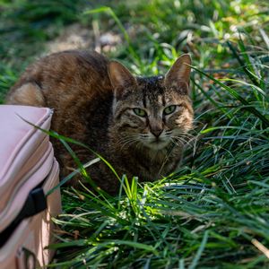 完美夏天（Cover：高旗&超载乐队）