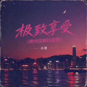 极致享受