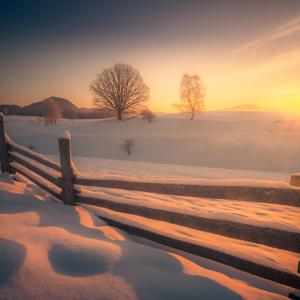 雪地里的栅栏 (5)
