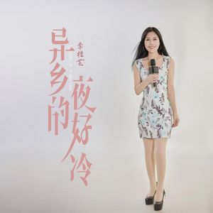 异乡的夜好冷 伴奏