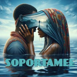 SOPORTAMEE