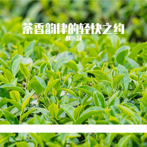 茶香韵律的轻快之约