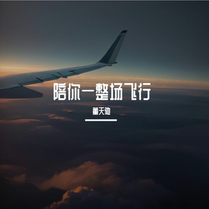 陪你一整场飞行
