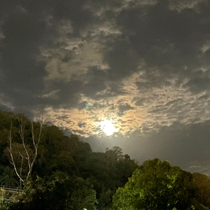 ฉันรักเธอ