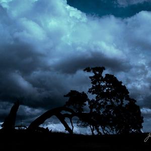 Original Mix - Gucci Gucci（RonyEDM remix）