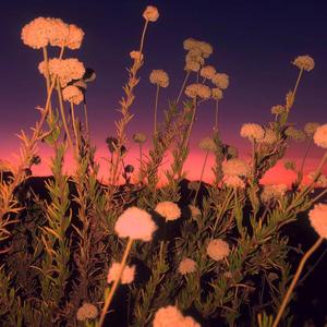 山丘 (Instrumental）