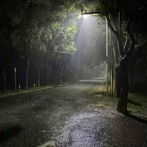 剩下的半程_119497633843156485_1774944892302.wav