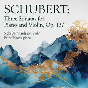 Sonata in D major, Op. 137 No. 1, D. 384: III. Allegro vivace