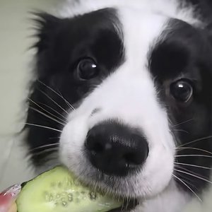 爱的回归线