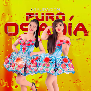 Amor Pasajero (En Vivo)