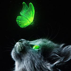 天使爱美丽（钢琴现场版）