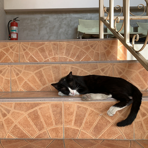 จำขึ้นใจ