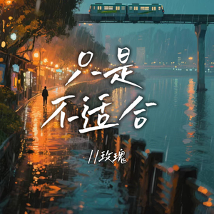 只是不适合(伴奏)