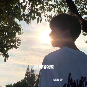 少年的歌