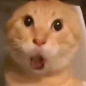 财神到（基米版DJ Prin4 remix）